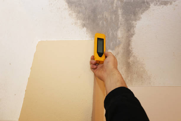 Best Emergency Mold Remediation  in Gloversville, NY