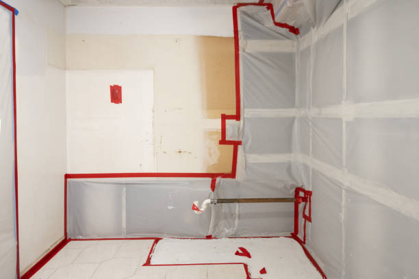 Best Basement Mold Removal  in Gloversville, NY